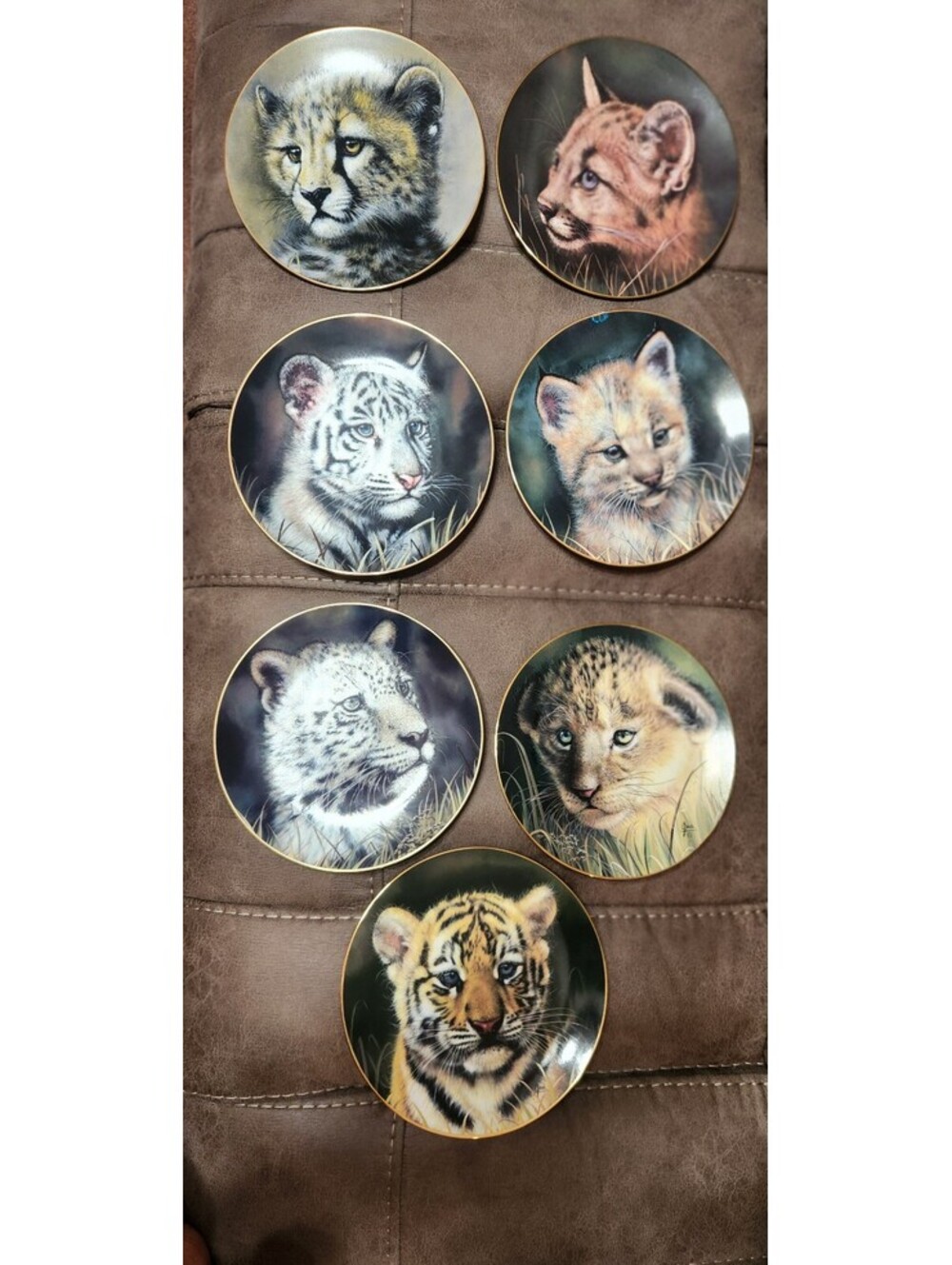 VTG Princeton Gallery "Cubs of the Big Cats" Fine Porcelain Plates - w Wall Hang